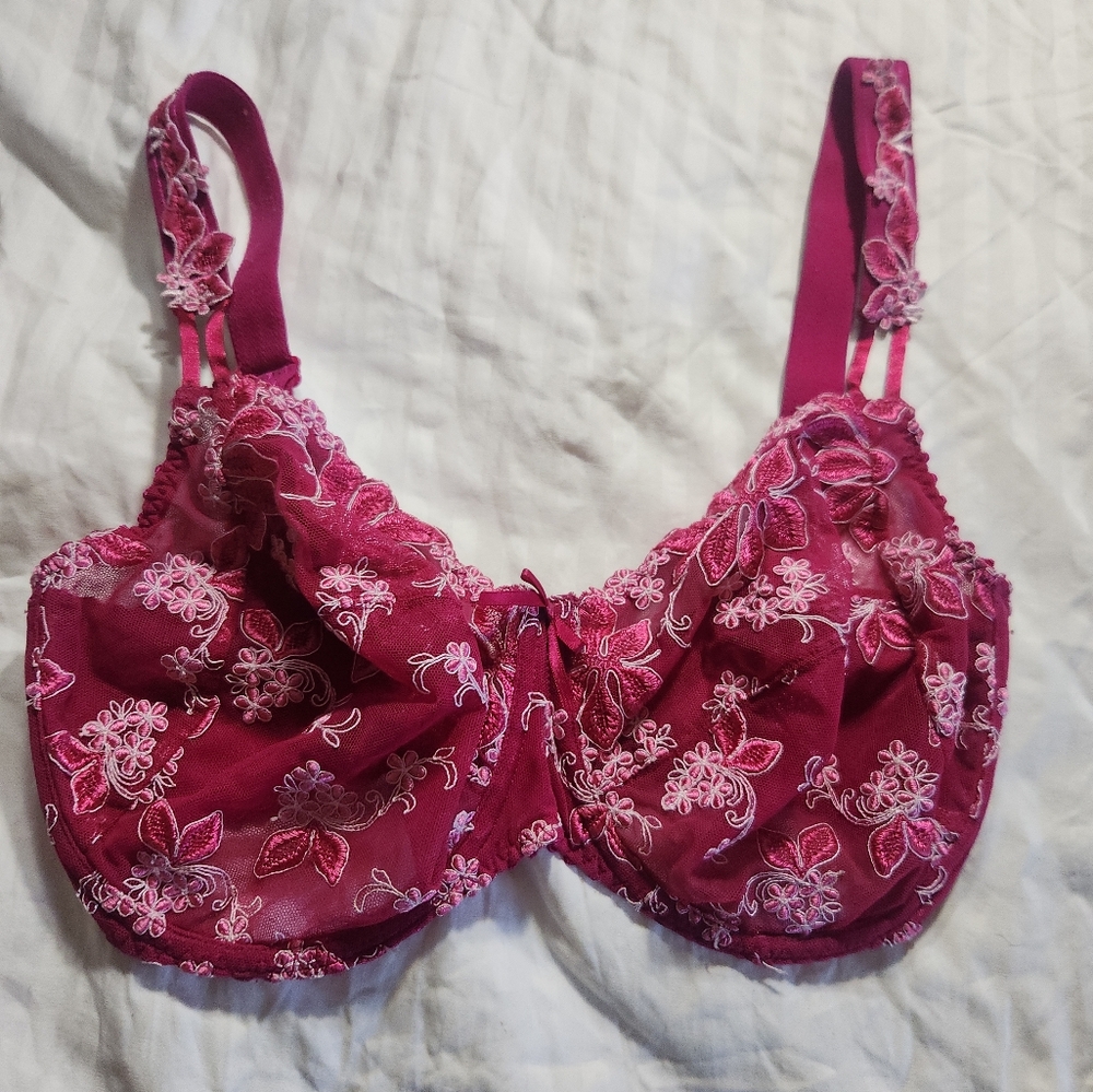 Prima Donna bra 34G